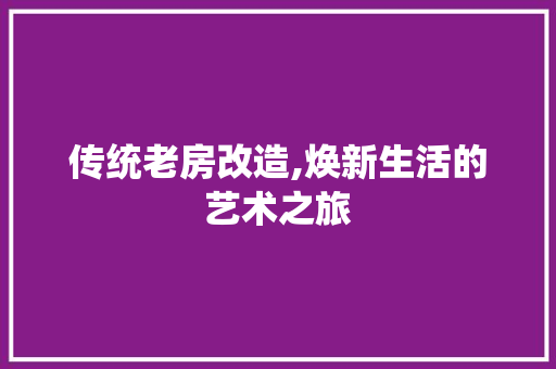 传统老房改造,焕新生活的艺术之旅 建筑设计 传统老房改造,焕新生活的艺术之旅 建筑设计