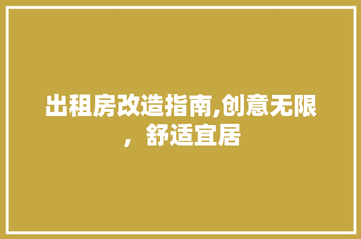 出租房改造指南,创意无限，舒适宜居