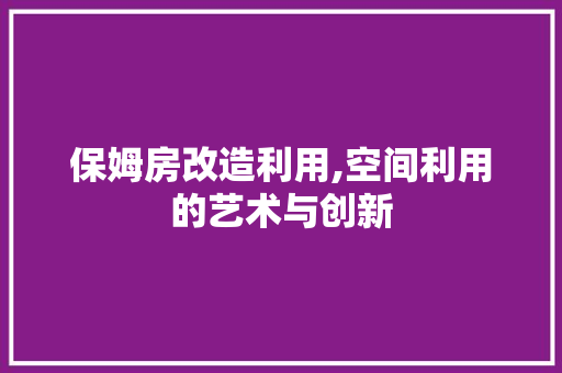 保姆房改造利用,空间利用的艺术与创新 墙面装饰