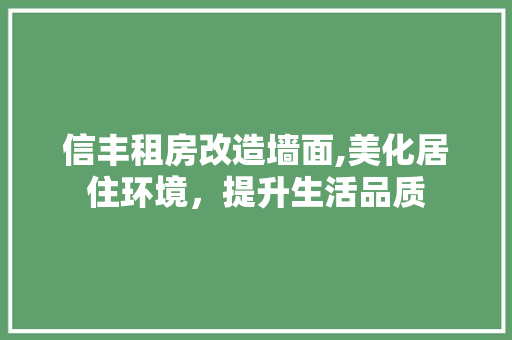 信丰租房改造墙面,美化居住环境，提升生活品质 装修材料