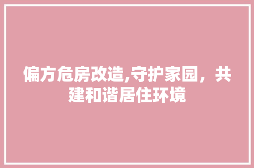 偏方危房改造,守护家园，共建和谐居住环境