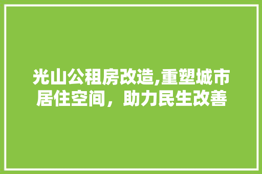 光山公租房改造,重塑城市居住空间，助力民生改善 景观设计