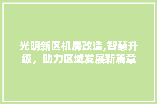 光明新区机房改造,智慧升级，助力区域发展新篇章 装修材料