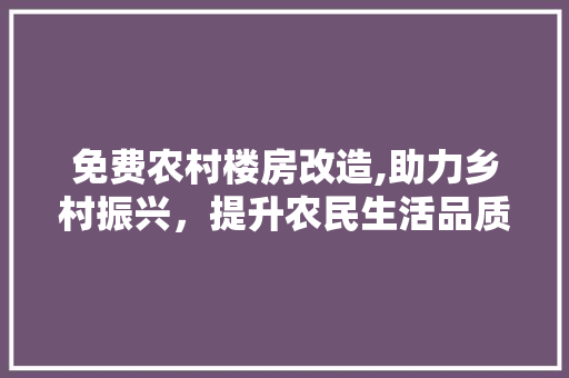 免费农村楼房改造,助力乡村振兴，提升农民生活品质 墙面装饰