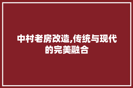中村老房改造,传统与现代的完美融合