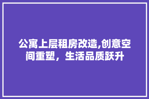公寓上层租房改造,创意空间重塑，生活品质跃升