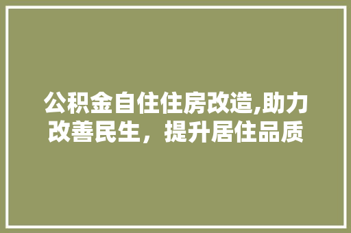 公积金自住住房改造,助力改善民生，提升居住品质 庭院装修