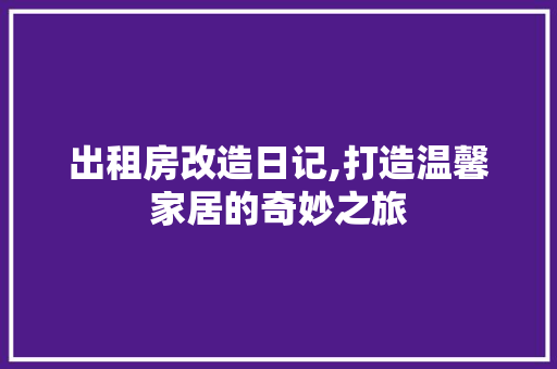 出租房改造日记,打造温馨家居的奇妙之旅