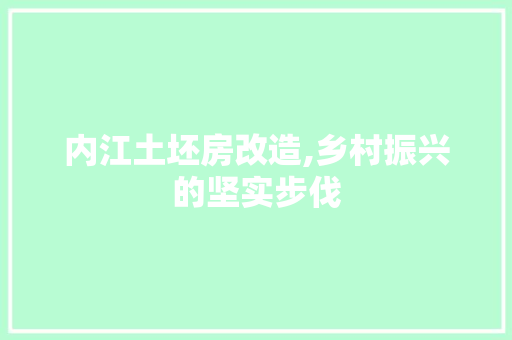 内江土坯房改造,乡村振兴的坚实步伐