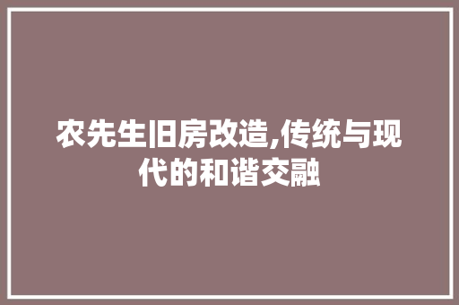 农先生旧房改造,传统与现代的和谐交融