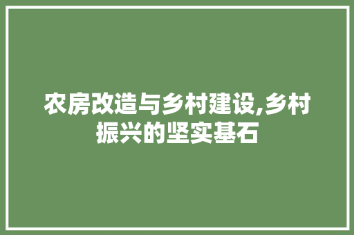 农房改造与乡村建设,乡村振兴的坚实基石 庭院装修