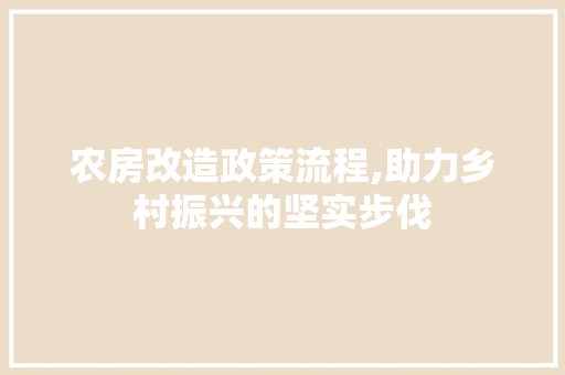 农房改造政策流程,助力乡村振兴的坚实步伐