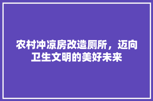 农村冲凉房改造厕所，迈向卫生文明的美好未来 庭院装修