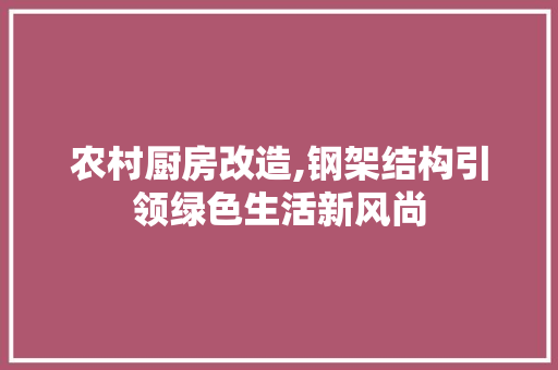 农村厨房改造,钢架结构引领绿色生活新风尚
