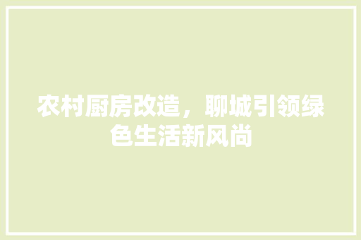 农村厨房改造，聊城引领绿色生活新风尚