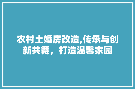 农村土婚房改造,传承与创新共舞，打造温馨家园 墙面装饰