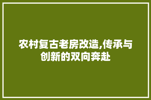农村复古老房改造,传承与创新的双向奔赴 装修材料