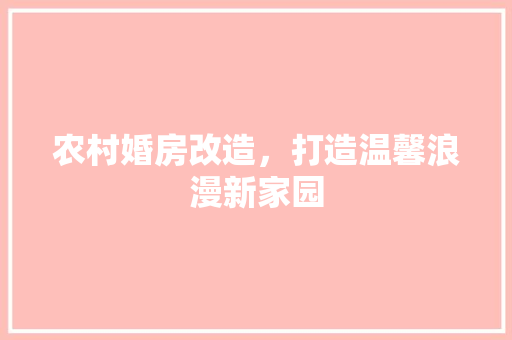 农村婚房改造，打造温馨浪漫新家园 建筑设计