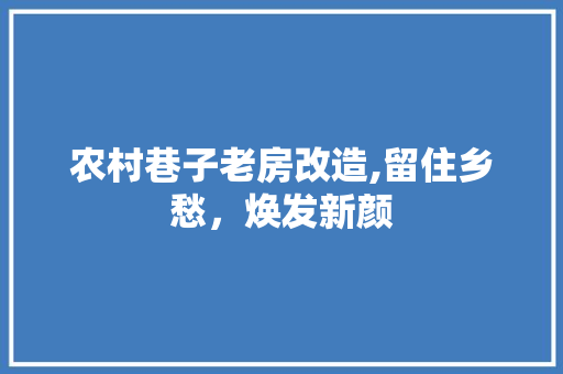 农村巷子老房改造,留住乡愁，焕发新颜 隔断设计