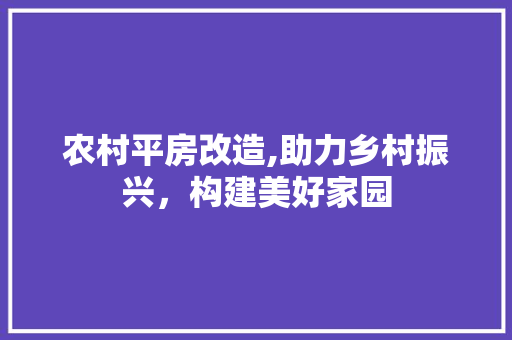 农村平房改造,助力乡村振兴，构建美好家园