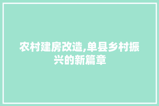 农村建房改造,单县乡村振兴的新篇章