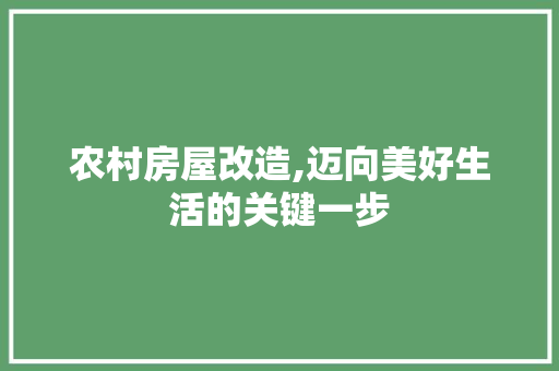 农村房屋改造,迈向美好生活的关键一步