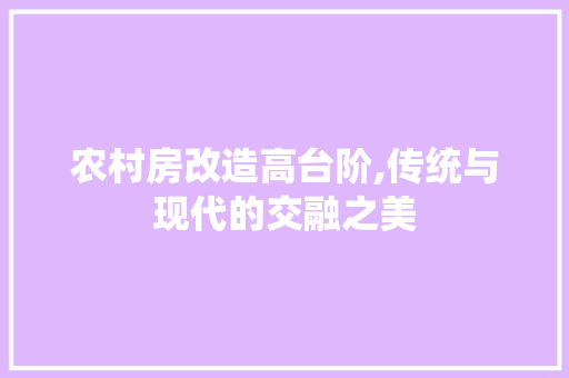 农村房改造高台阶,传统与现代的交融之美 建筑设计