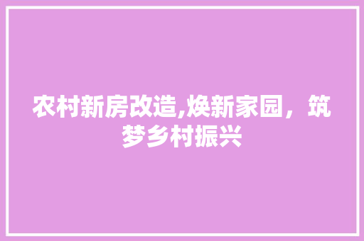农村新房改造,焕新家园，筑梦乡村振兴
