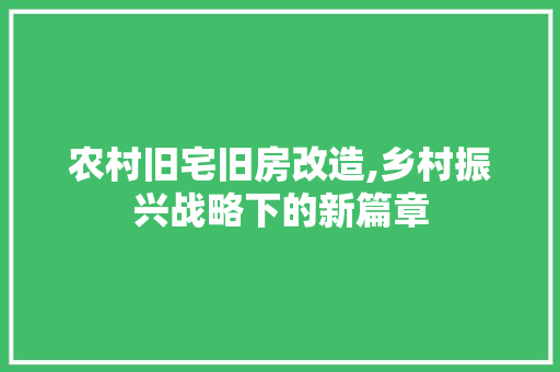 农村旧宅旧房改造,乡村振兴战略下的新篇章