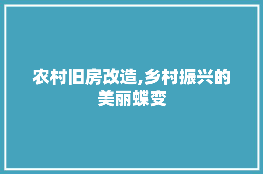 农村旧房改造,乡村振兴的美丽蝶变 庭院装修