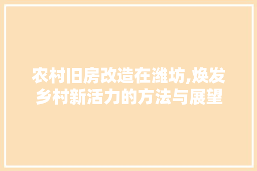 农村旧房改造在潍坊,焕发乡村新活力的方法与展望