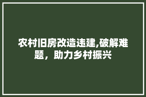 农村旧房改造违建,破解难题，助力乡村振兴