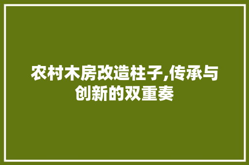 农村木房改造柱子,传承与创新的双重奏