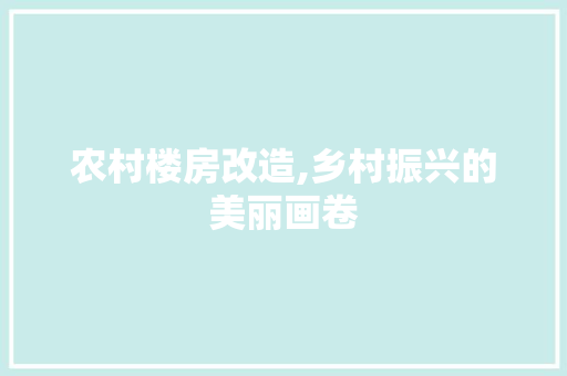 农村楼房改造,乡村振兴的美丽画卷 装修材料