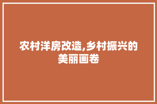 农村洋房改造,乡村振兴的美丽画卷