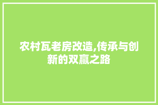 农村瓦老房改造,传承与创新的双赢之路 墙面装饰