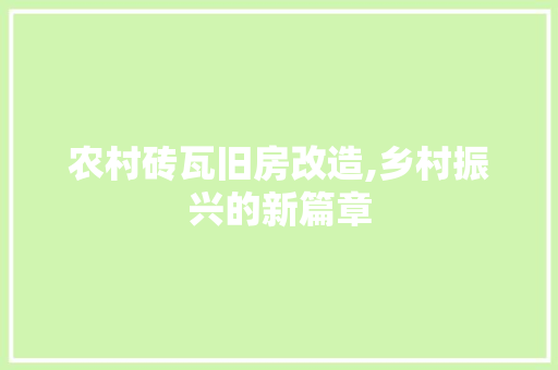 农村砖瓦旧房改造,乡村振兴的新篇章 地面装修