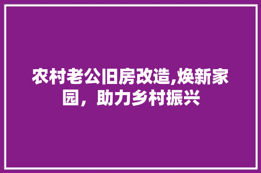 农村老公旧房改造,焕新家园，助力乡村振兴 建筑设计