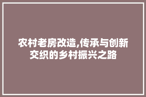 农村老房改造,传承与创新交织的乡村振兴之路