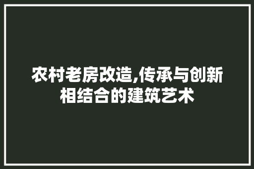 农村老房改造,传承与创新相结合的建筑艺术