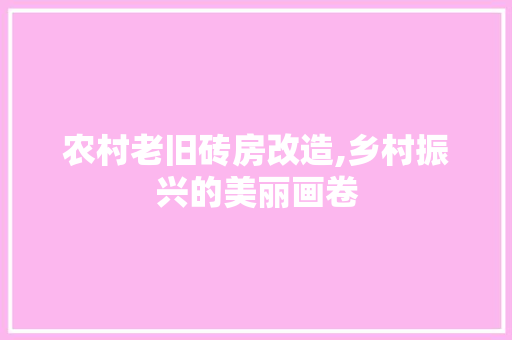 农村老旧砖房改造,乡村振兴的美丽画卷 门窗装修