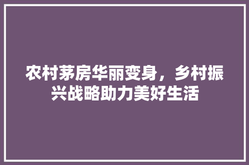 农村茅房华丽变身，乡村振兴战略助力美好生活 地面装修