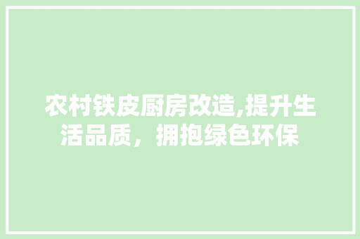 农村铁皮厨房改造,提升生活品质，拥抱绿色环保