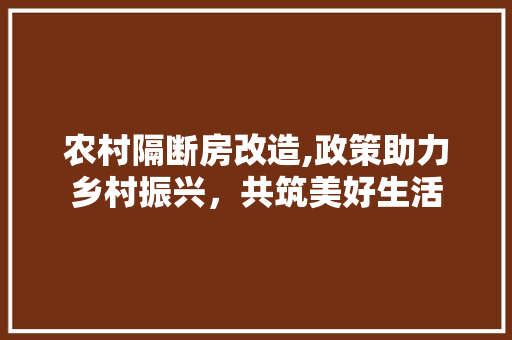 农村隔断房改造,政策助力乡村振兴，共筑美好生活