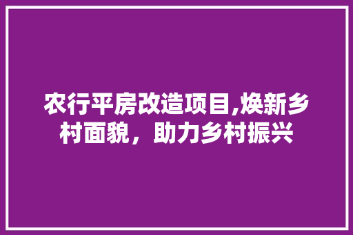 农行平房改造项目,焕新乡村面貌，助力乡村振兴