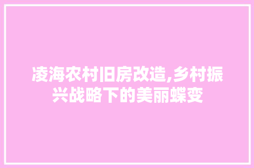 凌海农村旧房改造,乡村振兴战略下的美丽蝶变