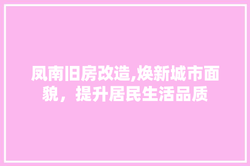 凤南旧房改造,焕新城市面貌，提升居民生活品质 墙面装饰