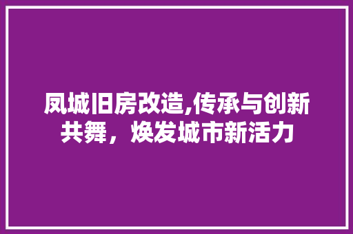 凤城旧房改造,传承与创新共舞，焕发城市新活力 装修攻略