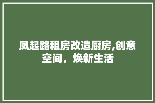 凤起路租房改造厨房,创意空间，焕新生活 景观设计