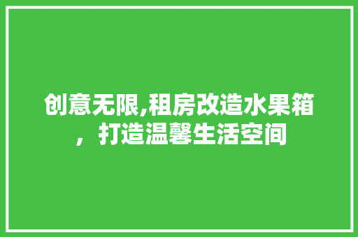 创意无限,租房改造水果箱，打造温馨生活空间 墙面装饰